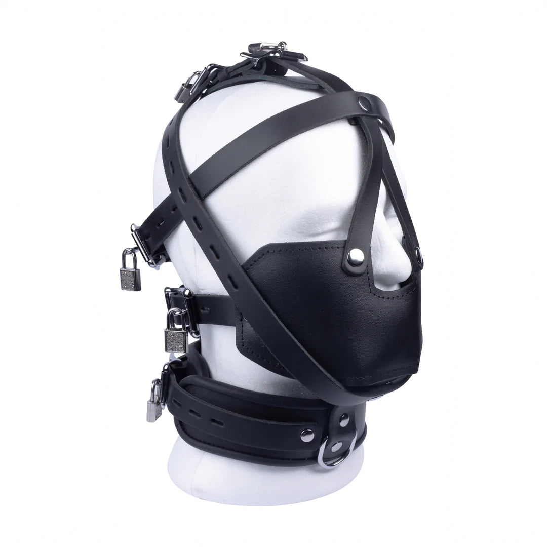 Full head mask